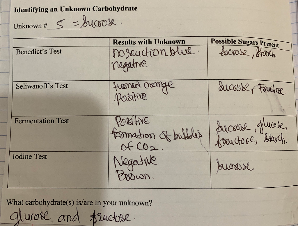 Solved B. Benedict's Test for Reducing Sugars Equipment 7
