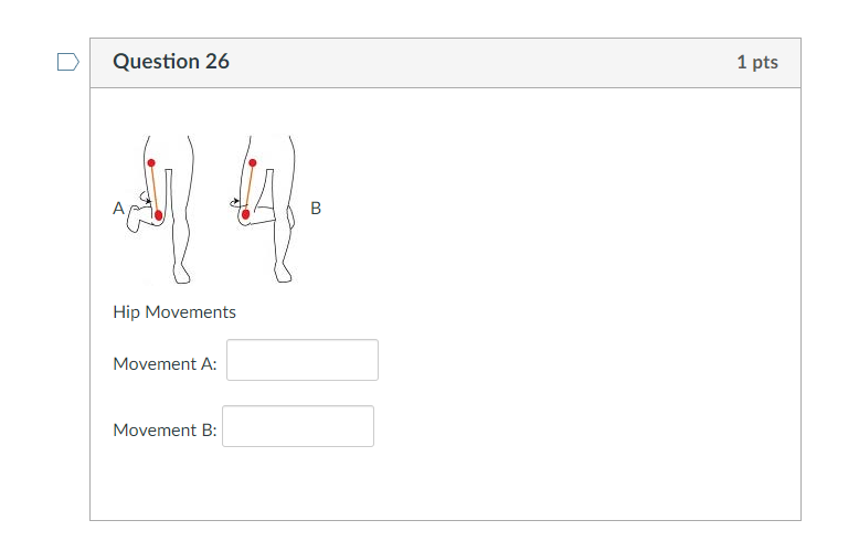 Solved Question 1 1 Pts A B Vertebral Movements A-->B B-->A | Chegg.com