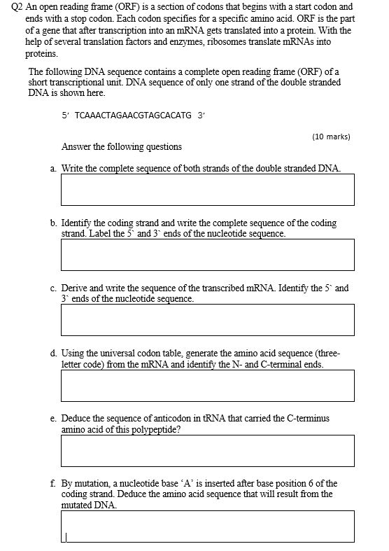 Solved Q2 An open reading frame (ORF) is a section of codons | Chegg.com
