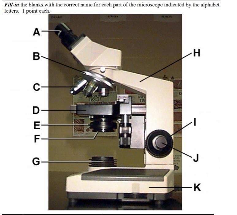 Solved Fillinthe blanks with the correct name for each part