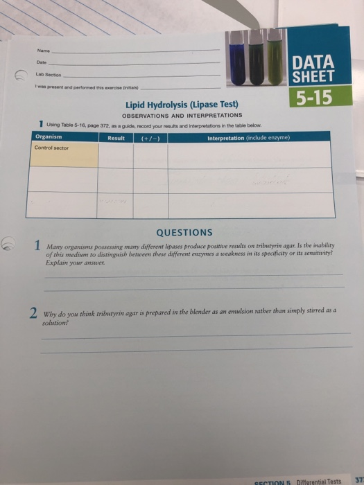 Solved Name Date Lab Section I was present and pertormed | Chegg.com