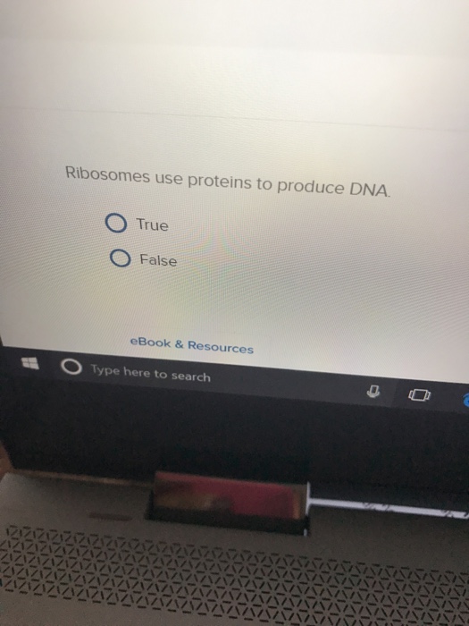 Solved Ribosomes use proteins to produce DNA True False