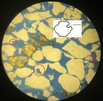 Solved Provided are images of the core . Black color is | Chegg.com