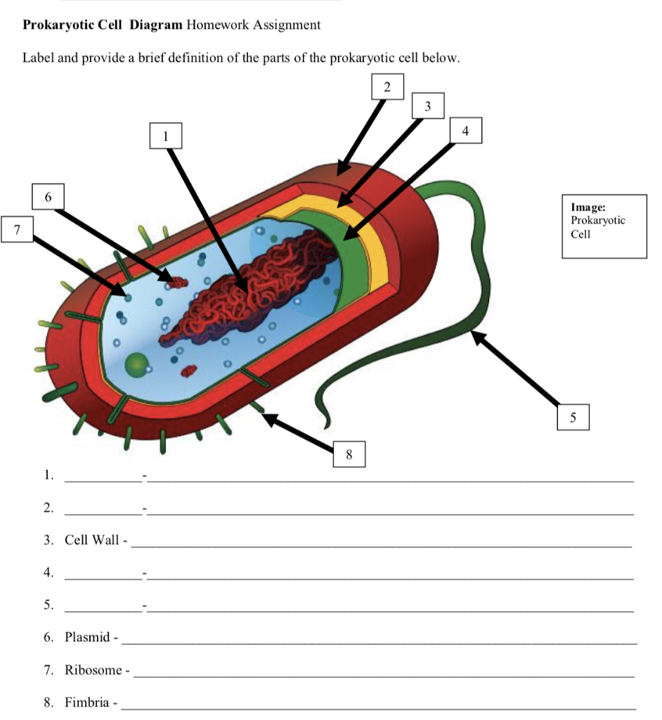 Стенки прокариотов. Prokaryotic Cell structure. Прокариоты бактерии и археи. Клеточная стенка прокариот. Строение прокариотов Архей.