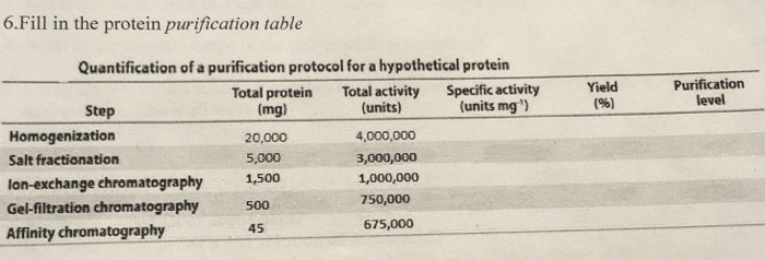 Solved Fill In The Protein Purification Table Chegg Com