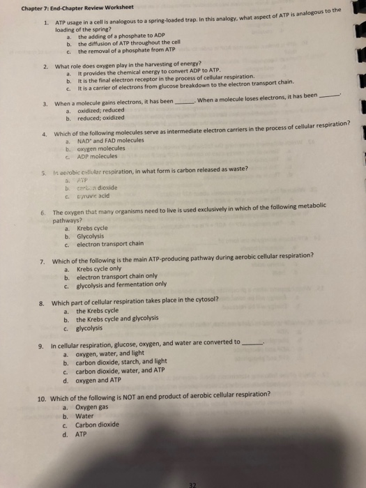 Solved Chapter 7: End-Chapter Review Worksheet 1. ATP usage | Chegg.com