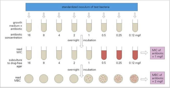 Solved 3. Identify The MIC And MBC For This Diagram (all | Chegg.com