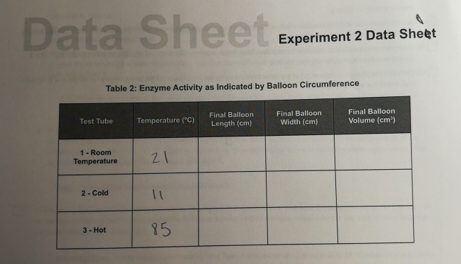 variables in enzyme experiment