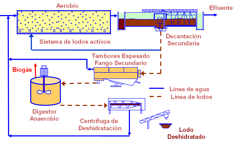 Solved Design Of An Urban Wastewater Treatment System.a 