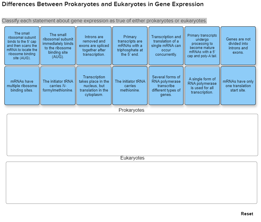 Solved Differences Between Prokaryotes and Eukaryotes in | Chegg.com