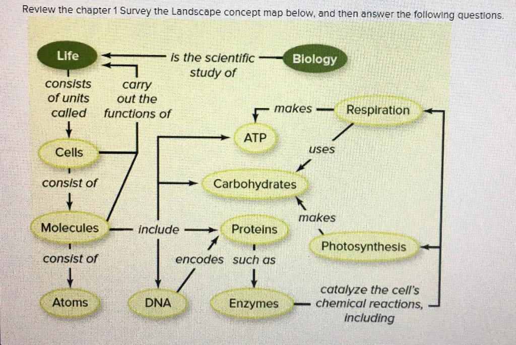 Solved Recall that in a concept map, the words within the | Chegg.com