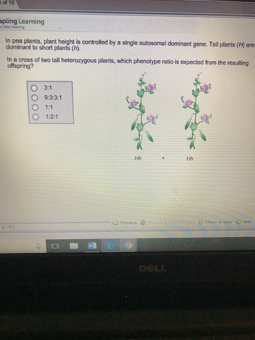 Solved of 10 pling Learning In pea plants, plant height is
