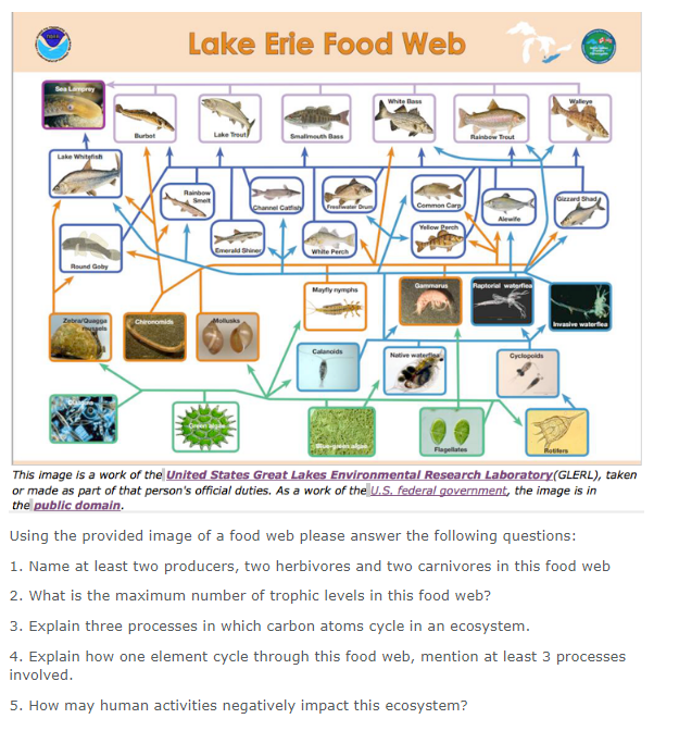 Solved Lake Erie Food Web Cyclopoids the; irrGWgic: Ea c'e | Chegg.com