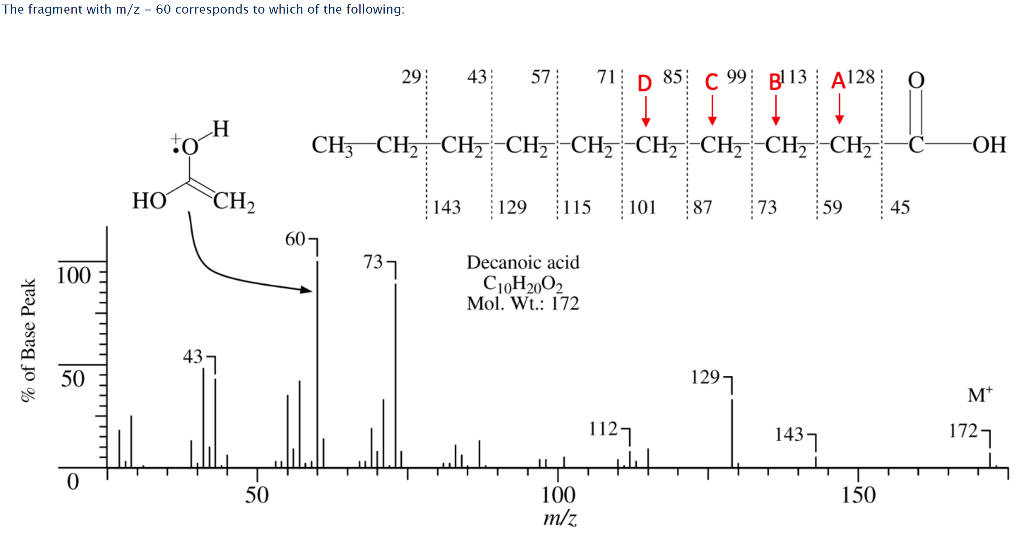 Solved The fragment with m/z - 60 corresponds to which of