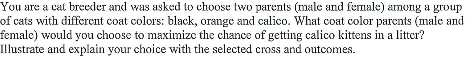Solved You are a cat breeder and was asked to choose two | Chegg.com