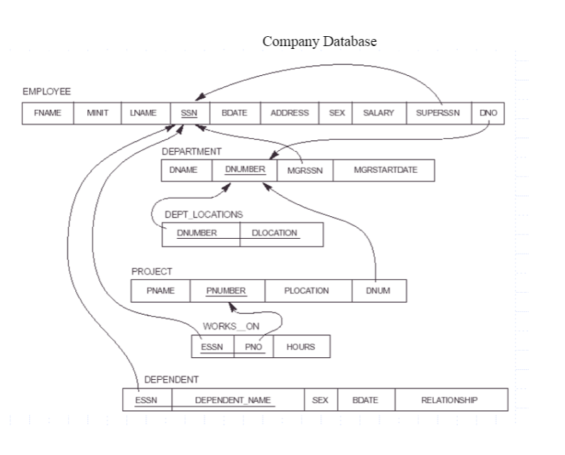 Solved Company Database EMPLOYEE FNAME MINIT LNAME SSN BDATE | Chegg.com