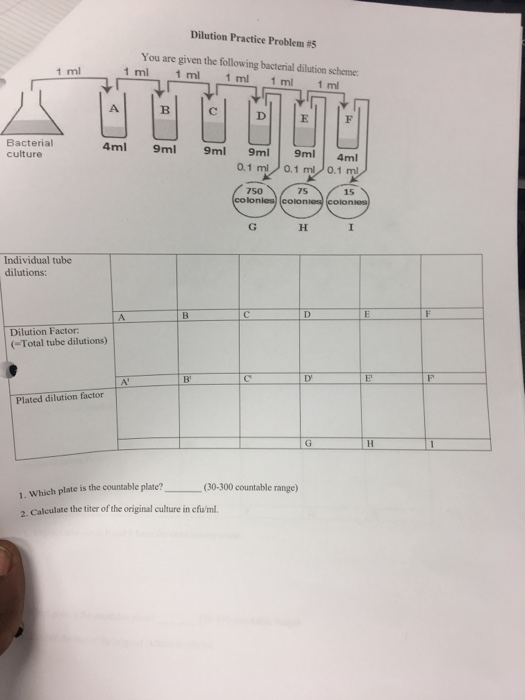 Solved Dilution Practice Problem 5 You Are Given The Chegg Solved Dilution Practice Problem 5 You Are Given The Chegg