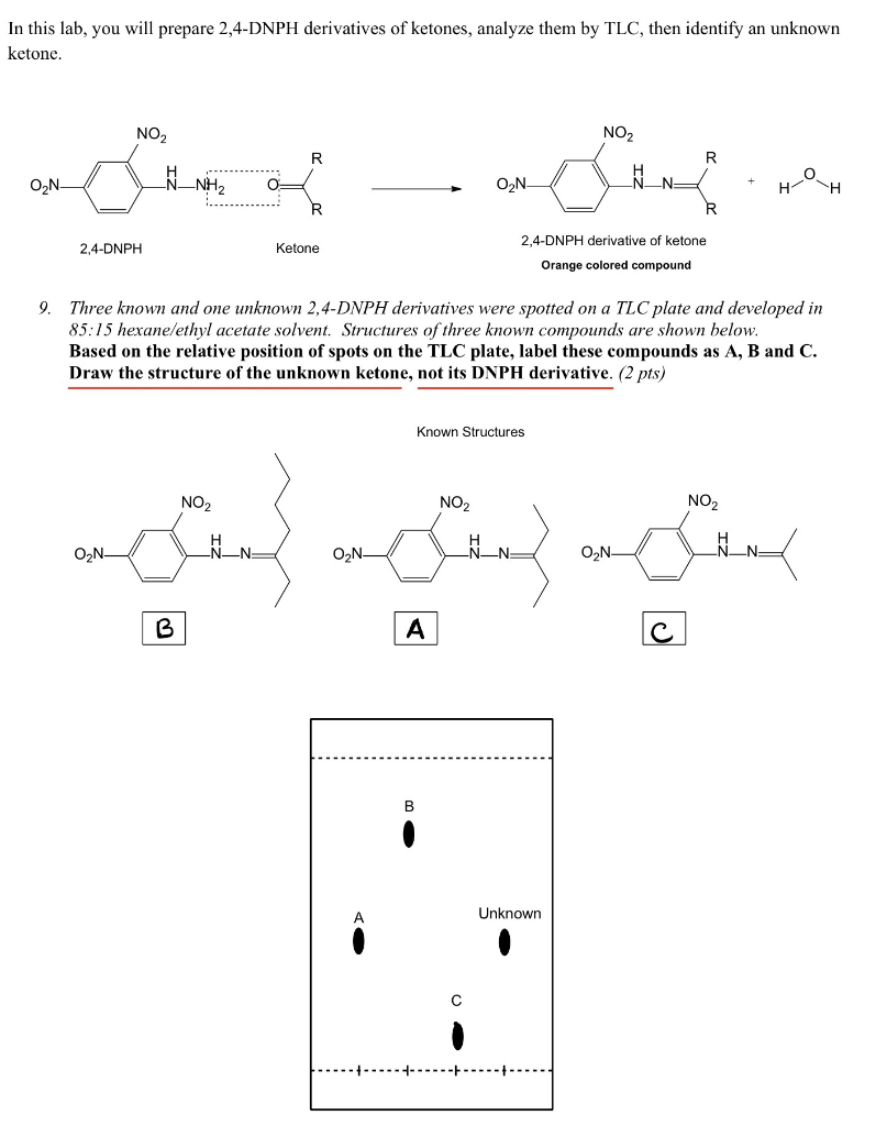Solved In this lab, you will prepare 2,4-DNPH derivatives of | Chegg.com