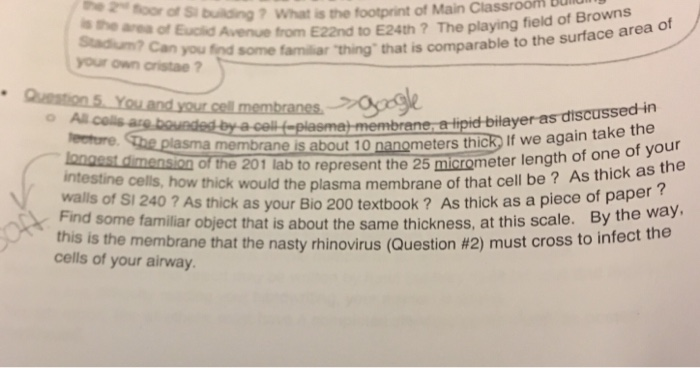 Solved Hello! I am having trouble with the question below. | Chegg.com