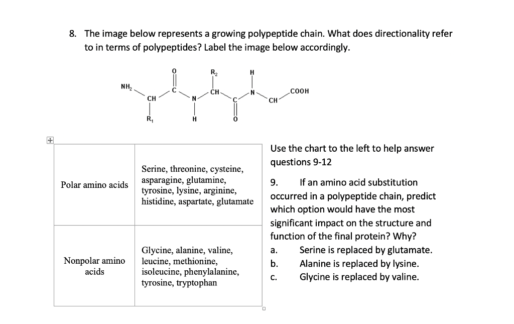 Solved 8 The Image Below Represents A Growing Polypeptide Chegg