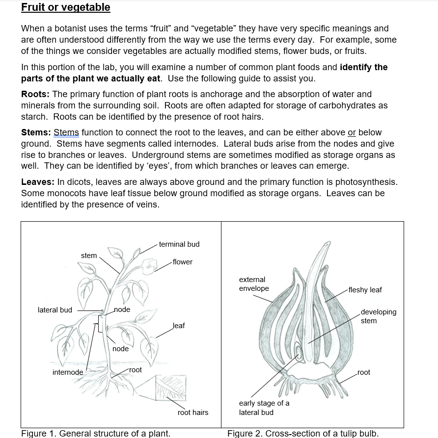 Solved Fruit or vegetable When a botanist uses the terms | Chegg.com