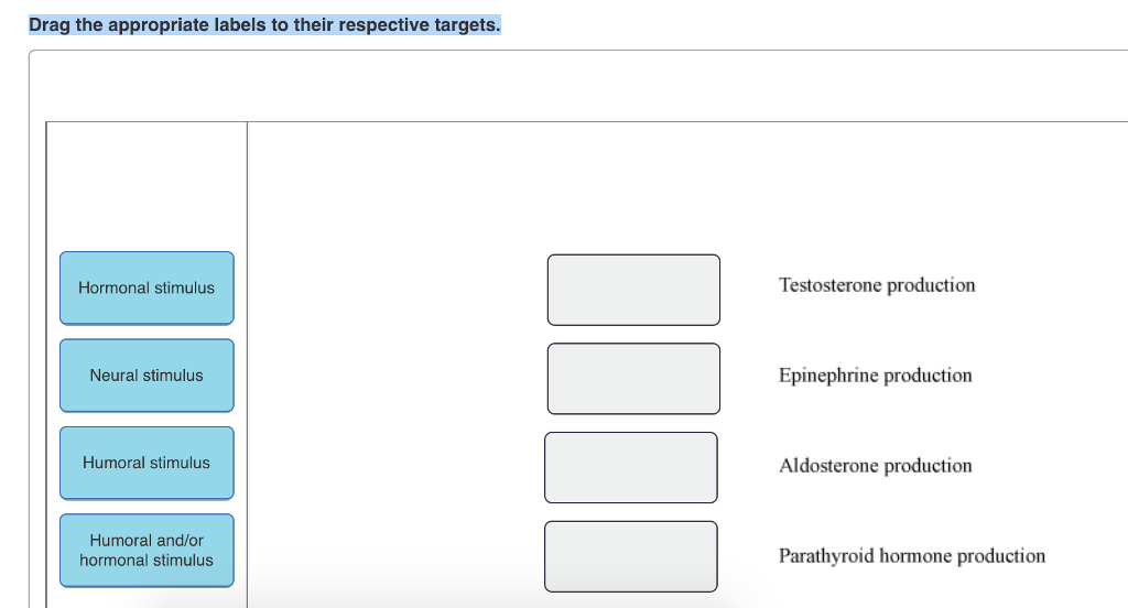 drag the appropriate labels to their respective targets. drag the appropriate labels to their respective targets.