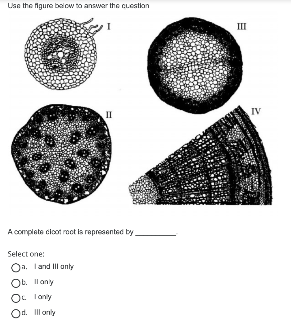 Solved Use the figure below to answer the question III II IV | Chegg.com