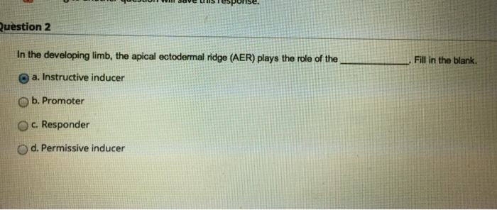 Solved In the developing limb, the apical ectodermal ridge | Chegg.com