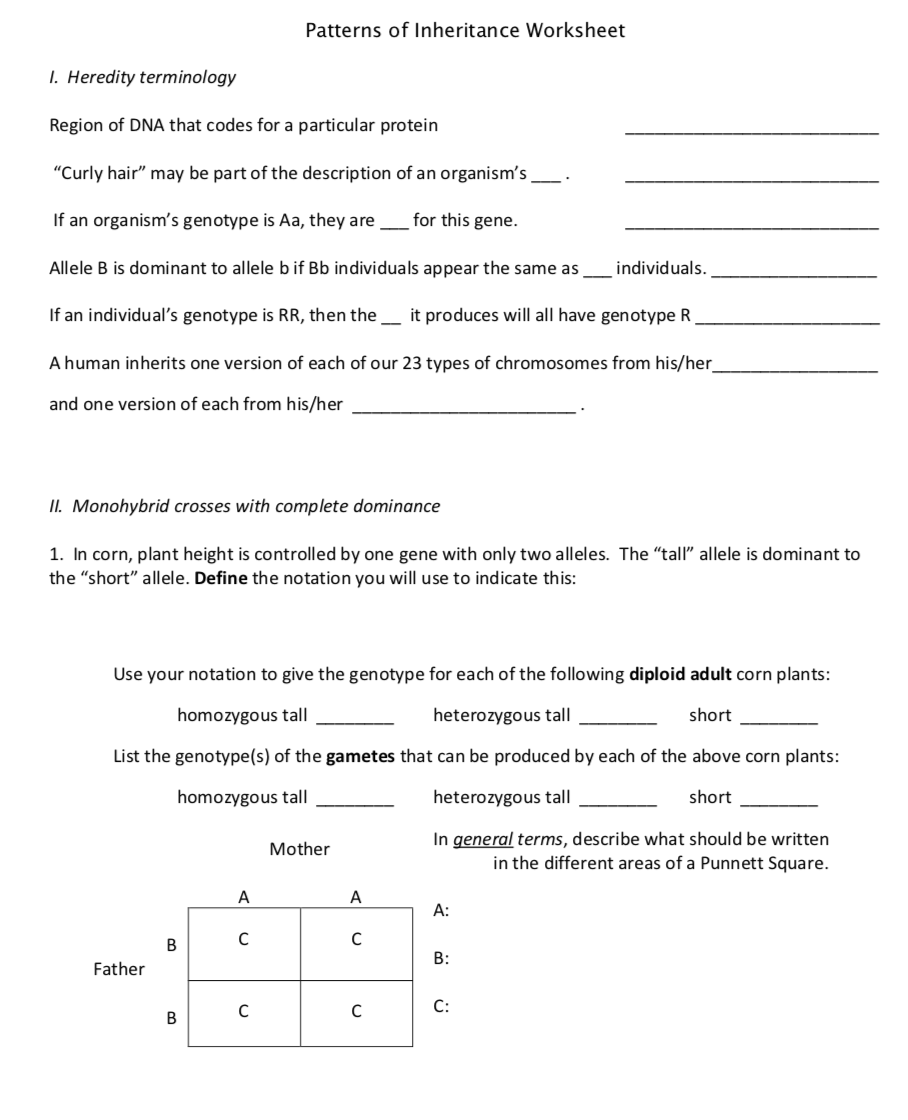 Solved Patterns of Inheritance Worksheet I. Heredity | Chegg.com