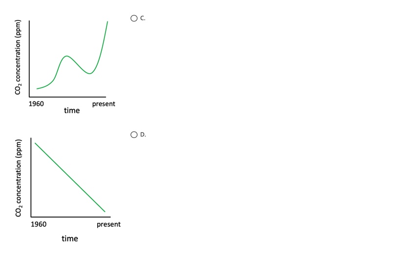 Solved What effects can ocean acidification have on marine Biology Diagrams