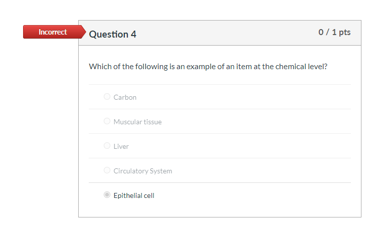 Solved Incorrect Question 4 0 / 1 pts Which of the following | Chegg.com