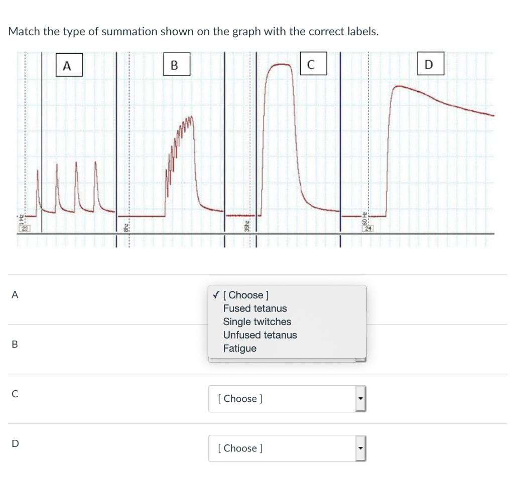 Solved Match the type of summation shown on the graph with | Chegg.com