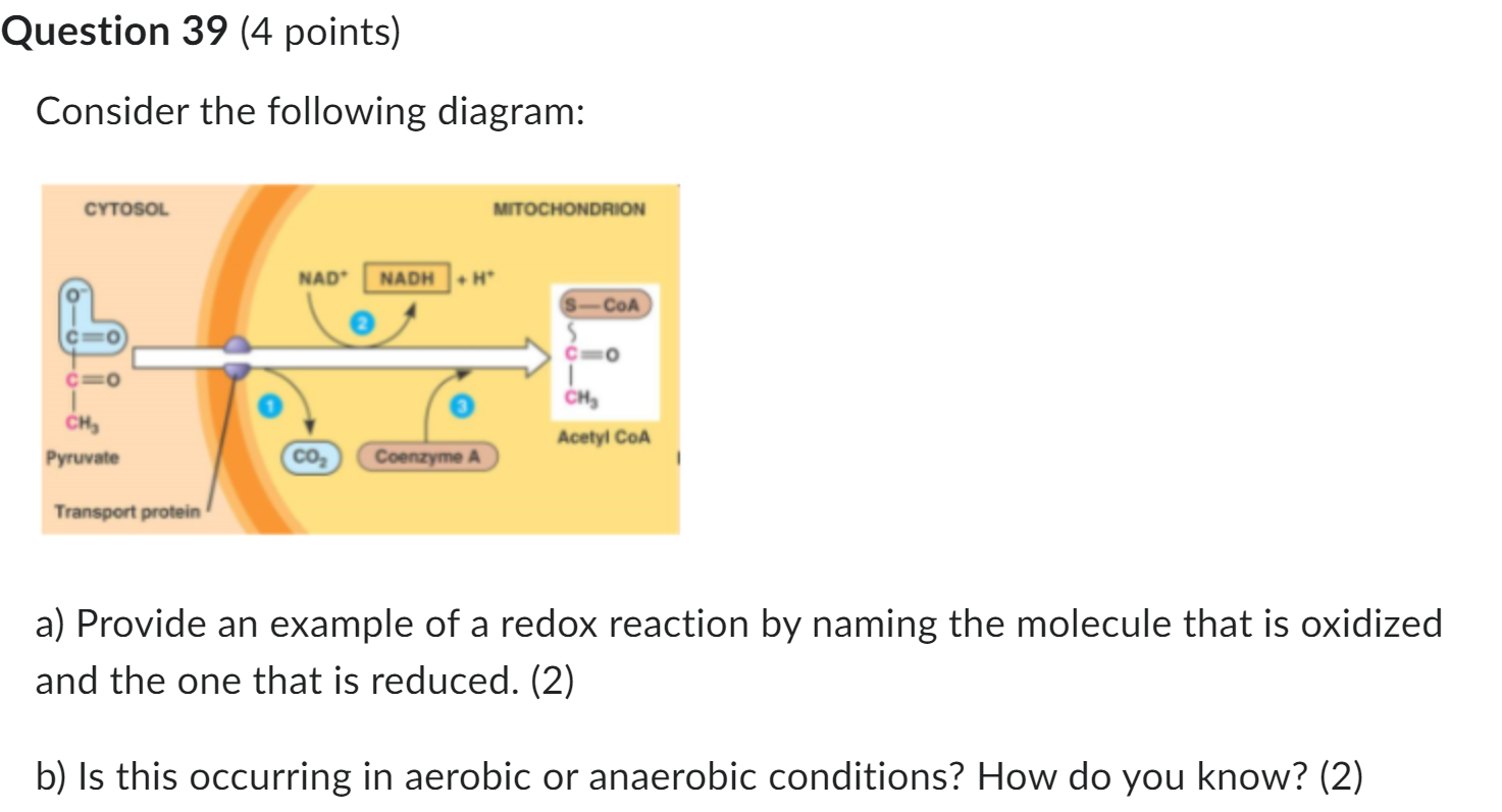 Consider the following diagram:
a) Provide an example of a redox reaction by naming the molecule that is oxidized and the one