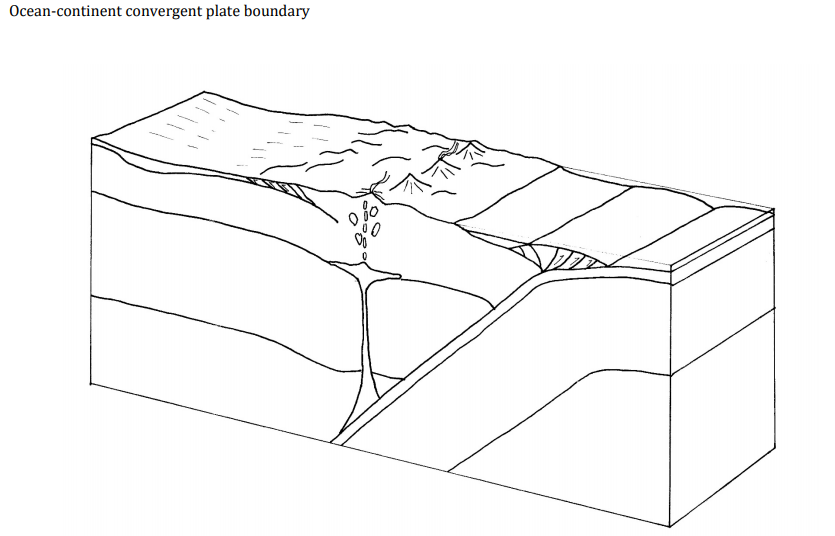 Solved On the diagram of the ocean-continent convergent | Chegg.com