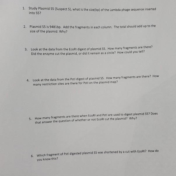 Solved Lab 8 Extension Activity: Plasmid Mapping and | Chegg.com