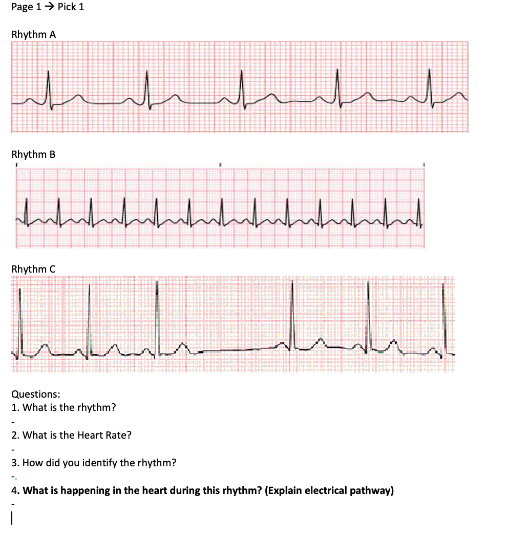 Solved Page 1 → Pick 1 Rhythm A عالم المال اللہ Rhythm B | Chegg.com