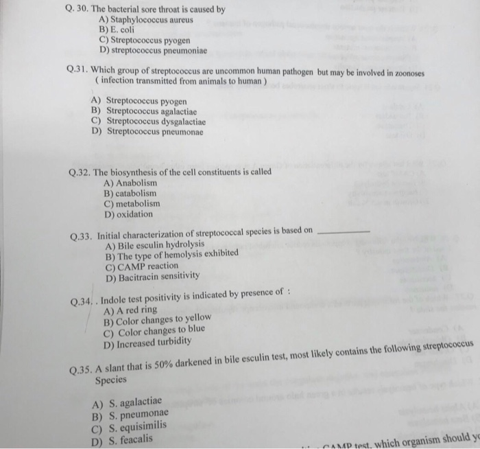 Solved Q. 30. The bacterial sore throat is caused by A) | Chegg.com