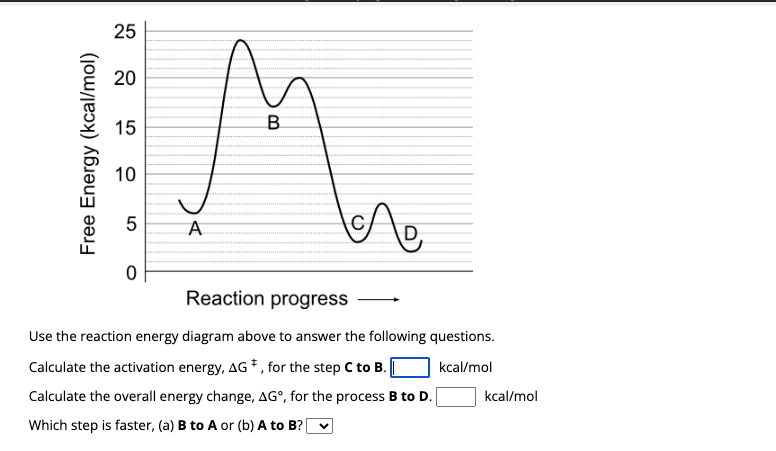 Solved Use the reaction energy diagram above to answer the | Chegg.com