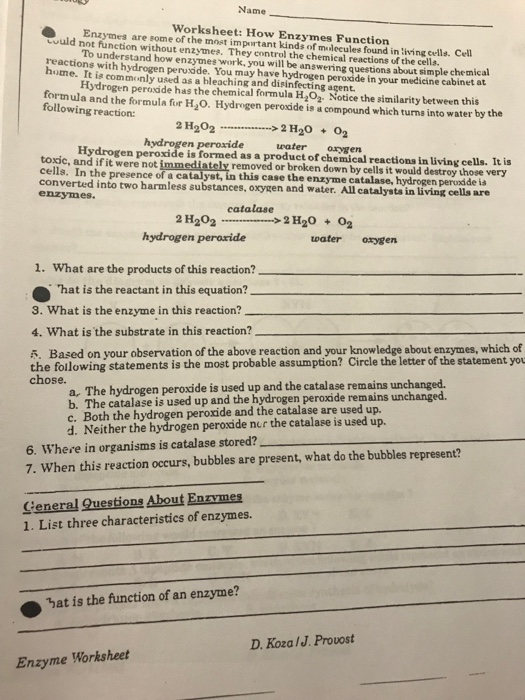 14-best-images-of-enzymes-worksheet-answer-key-enzymes-worksheet