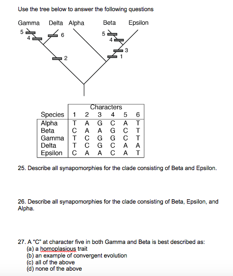 Solved Use the tree below to answer the following questions | Chegg.com