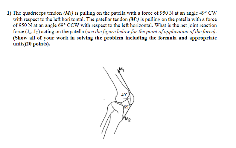 Solved 1) The quadriceps tendon (Mi) is pulling on the | Chegg.com