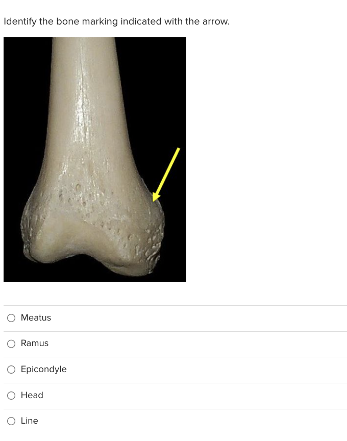 head bone marking