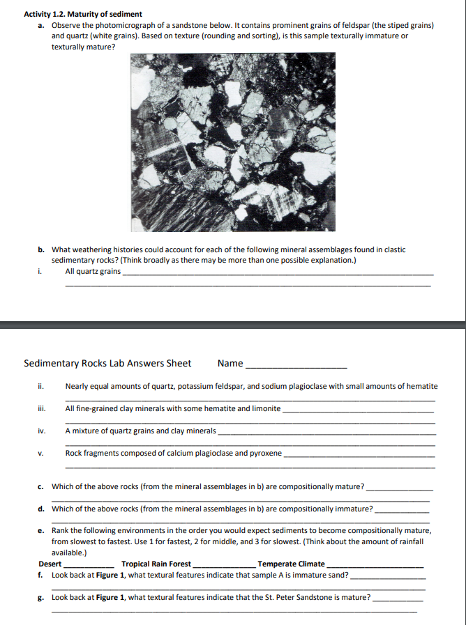 Solved Observe the photomicrograph of a sandstone below. It | Chegg.com