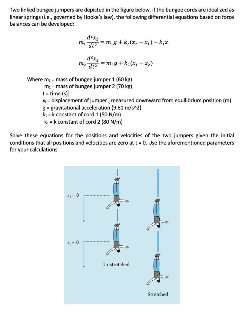 Solved Two Linked Bungee Jumpers Are Depicted In The Figure | Chegg.com