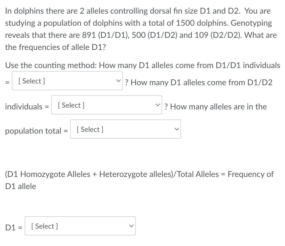 Solved In Dolphins There Are 2 ﻿alleles Controlling Dorsal | Chegg.com