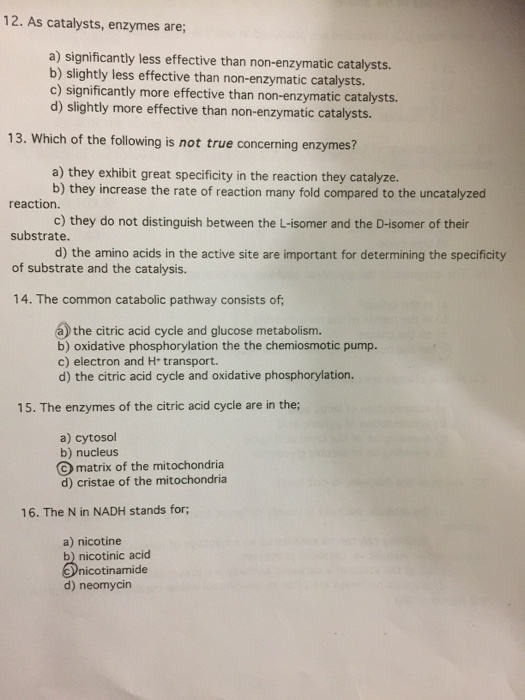Solved 12. As catalysts, enzymes are; a) significantly less
