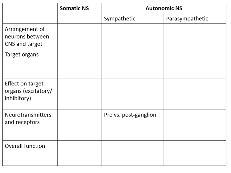 Solved Somatic Ns Autonomic Ns Parasympathetic Sympathetic 