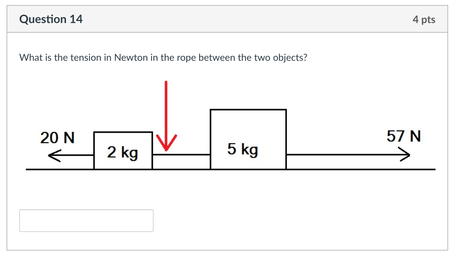 5 kg outlet newton