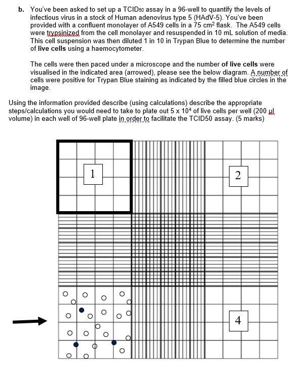 Solved b. You've been asked to set up a TCID50 assay in a | Chegg.com