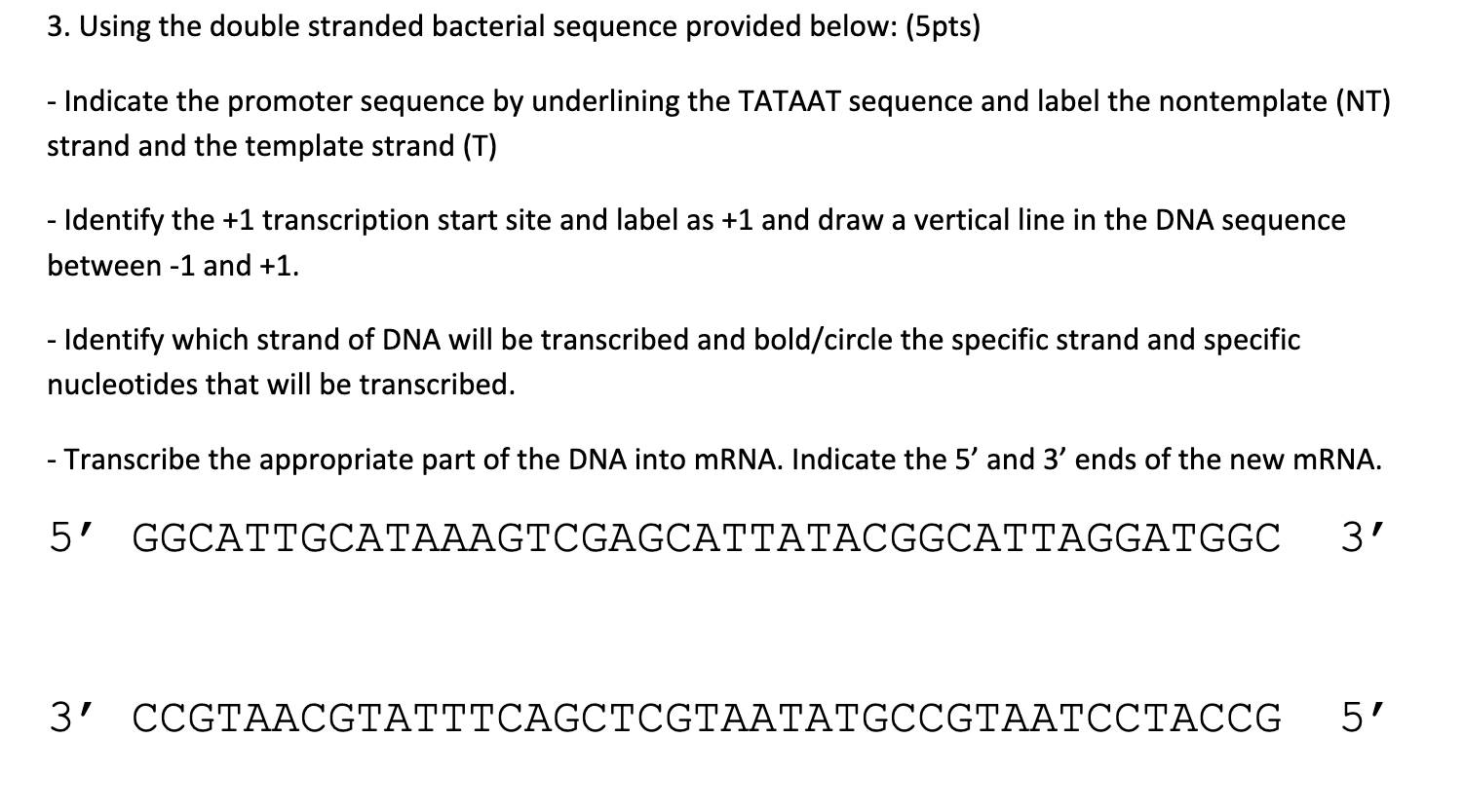 Solved 3. Using the double stranded bacterial sequence | Chegg.com